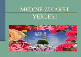 med ne z yaret yerler