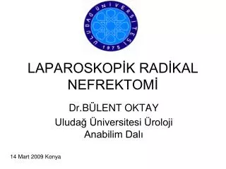 laparoskop k rad kal nefrektom