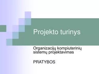 projekto turinys