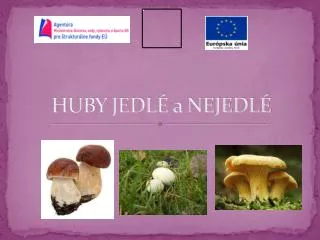 huby jedl a nejedl