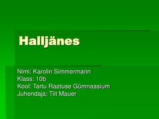 hallj nes