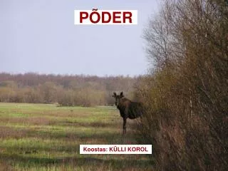 p der