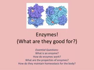 Enzymes! (What are they good for?)