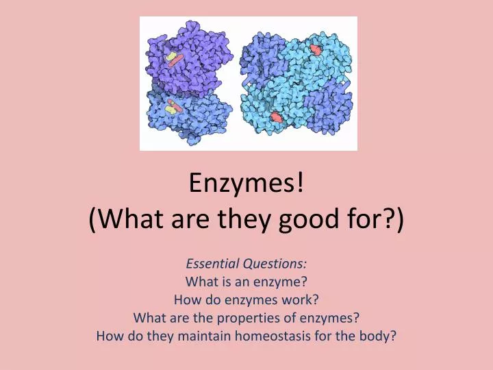 enzymes what are they good for