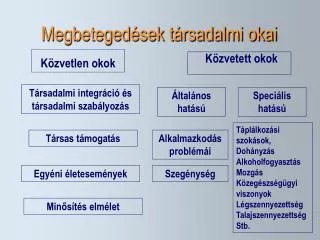 megbeteged sek t rsadalmi okai
