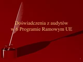 do wiadczenia z audyt w w 6 programie ramowym ue
