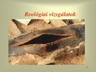 reol giai vizsg latok