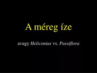 a m reg ze