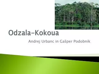 odzala kokoua