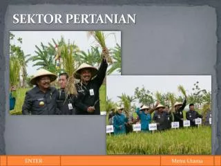 sektor pertanian
