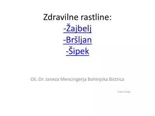 Zdravilne rastline: -Žajbelj -Bršljan -Šipek