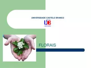 universidade castelo branco