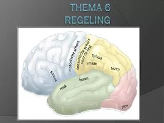 thema 6 regeling