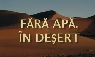 f r ap n de ert