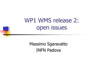 WP1 WMS release 2: open issues