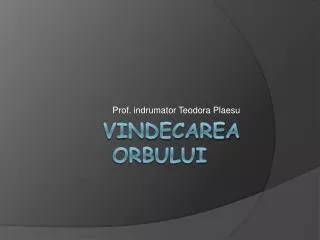 prof indrumator teodora plaesu