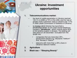 Ukraine: Investment opportunities