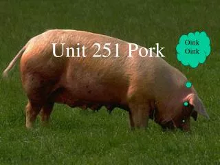 Unit 251 Pork