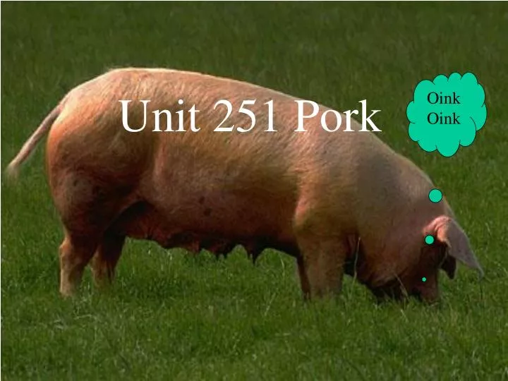 unit 251 pork