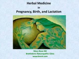 Herbal Medicine in Pregnancy, Birth, and Lactation