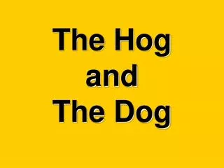 The Hog and The Dog