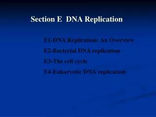 Section E DNA Replication