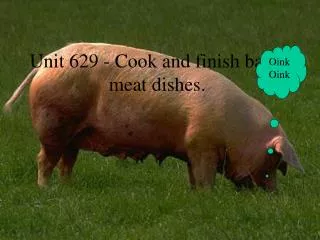 Unit 629 - Cook and finish basic meat dishes.