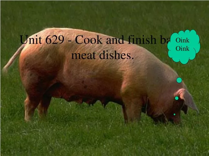 unit 629 cook and finish basic meat dishes