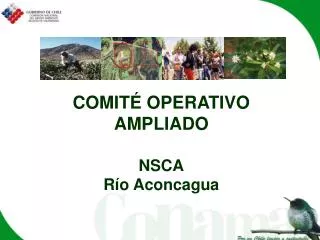 comit operativo ampliado nsca r o aconcagua