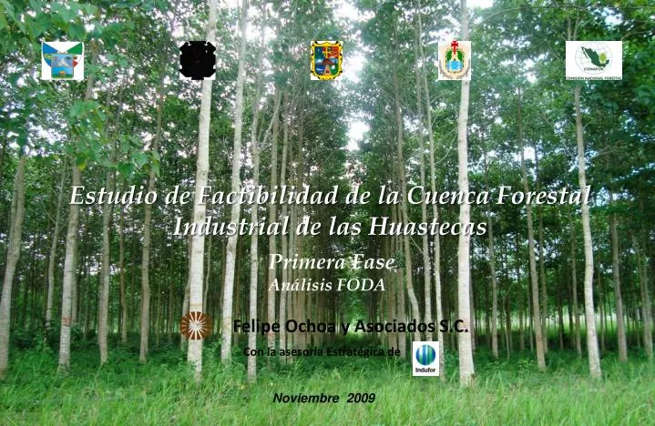 estudio de factibilidad de la cuenca forestal industrial de las huastecas
