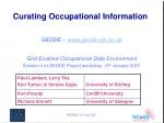 Curating Occupational Information