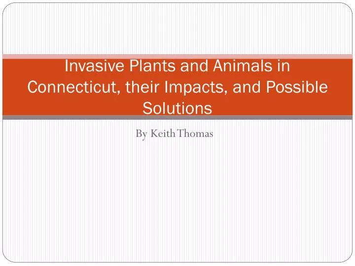 invasive plants and animals in connecticut their impacts and possible solutions