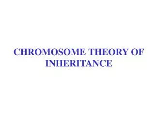 CHROMOSOME THEORY OF INHERITANCE