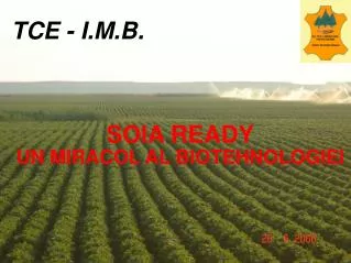 tce i m b