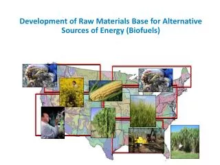 Development of Raw Materials Base for Alternative Sources of Energy (Biofuels)