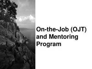 On-the-Job (OJT) and Mentoring Program
