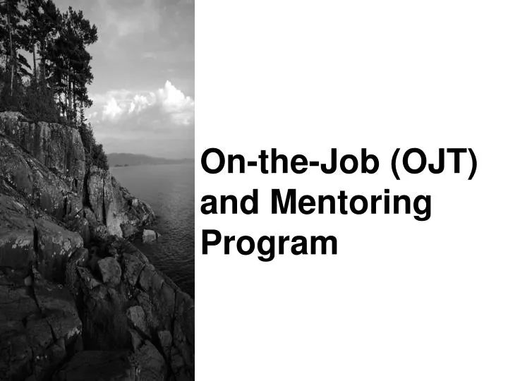 on the job ojt and mentoring program