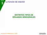 UNIDAD 3 - slide 1