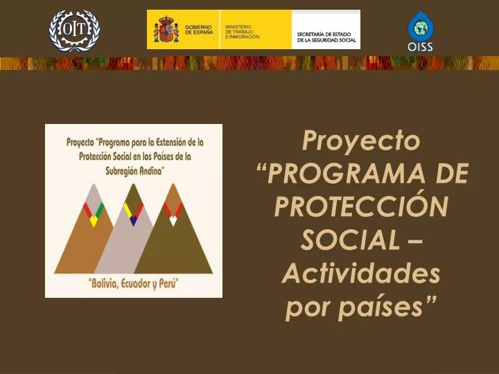 proyecto programa de protecci n social actividades por pa ses