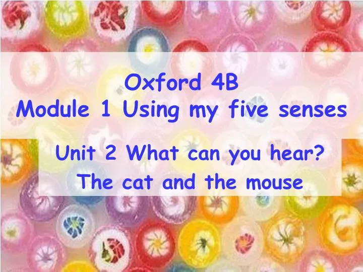 oxford 4b module 1 using my five senses