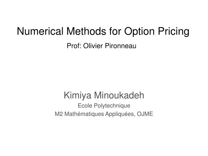 numerical methods for option pricing