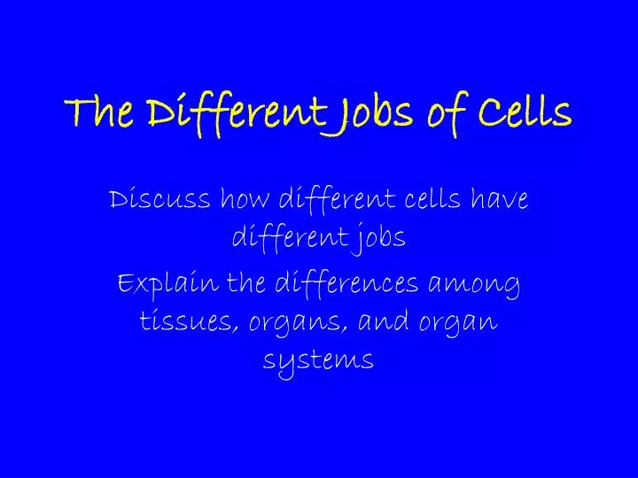 the different jobs of cells