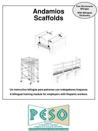 Andamios Scaffolds