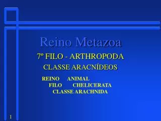 reino metazoa