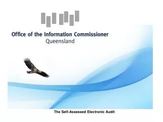 The Self-Assessed Electronic Audit