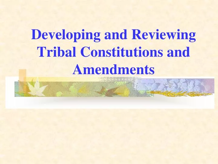 developing and reviewing tribal constitutions and amendments