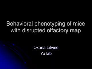 Behavioral phenotyping of mice with disrupted olfactory map