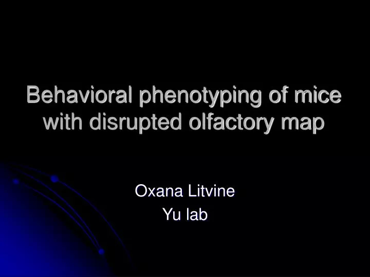 behavioral phenotyping of mice with disrupted olfactory map