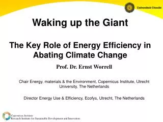 Waking up the Giant The Key Role of Energy Efficiency in Abating Climate Change