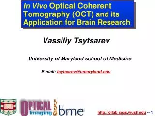 In Vivo Optical Coherent Tomography (OCT) and its Application for Brain Research